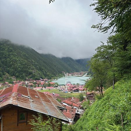 Sahin Apart Uzungöl Exterior foto